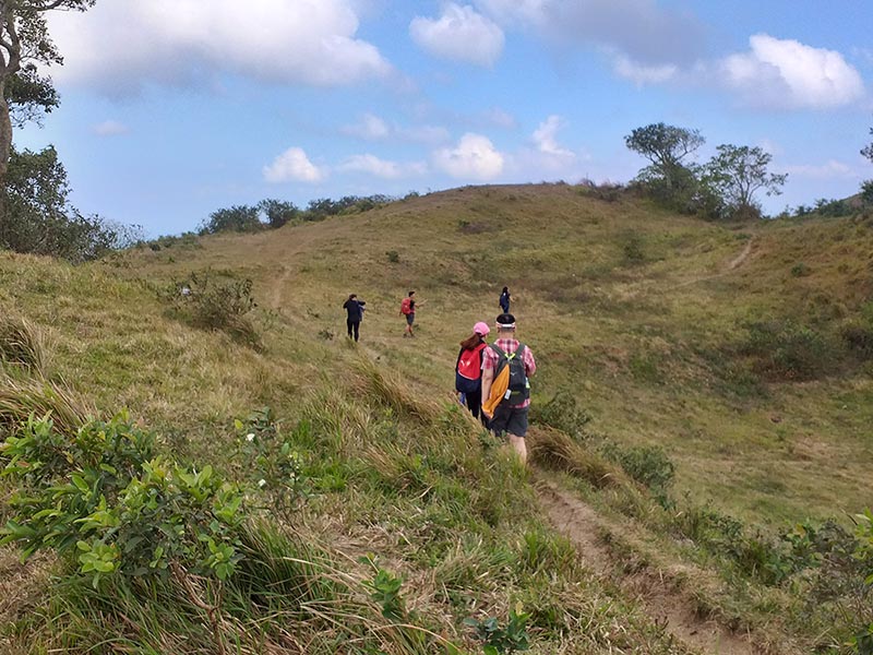 mt gulugod baboy march 2019